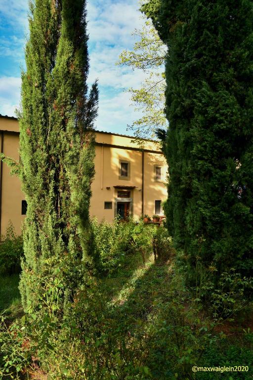 Armonie di Villa Incontri B&B - 5