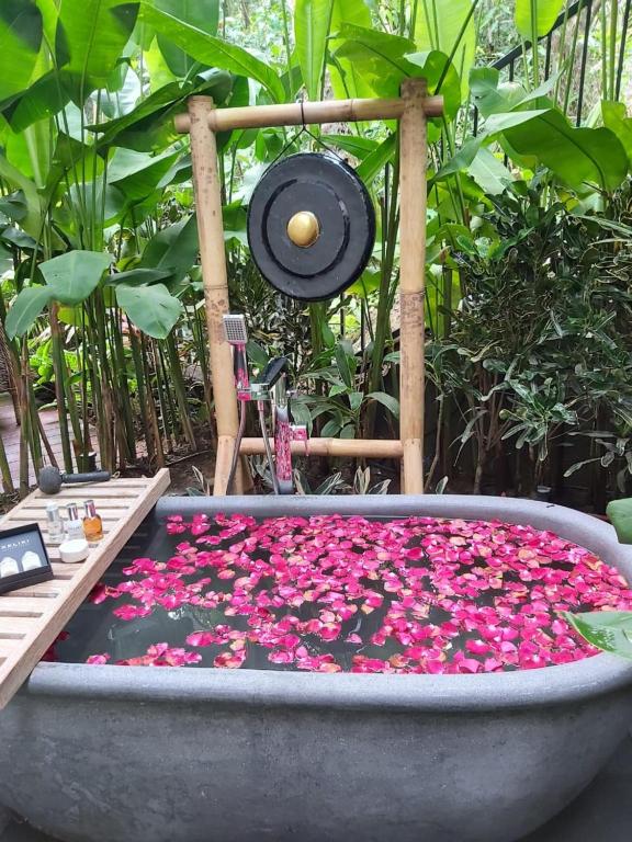 Keliki Luxury Lodge