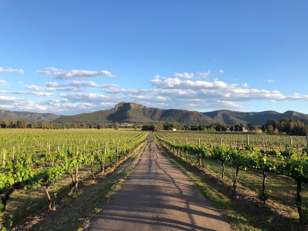 Nightingale Wines Luxury Villas photo
