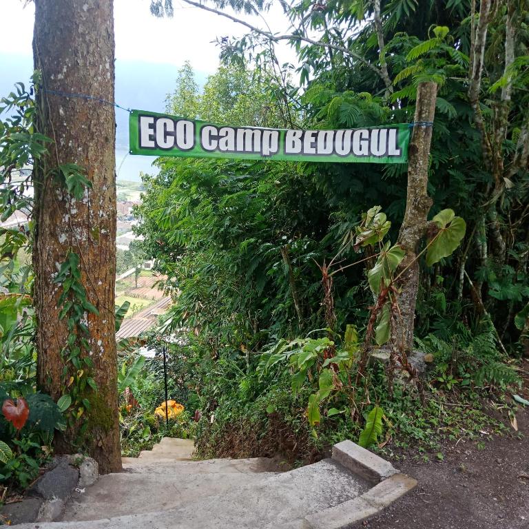 ECO Bedugul adventurer camp photo
