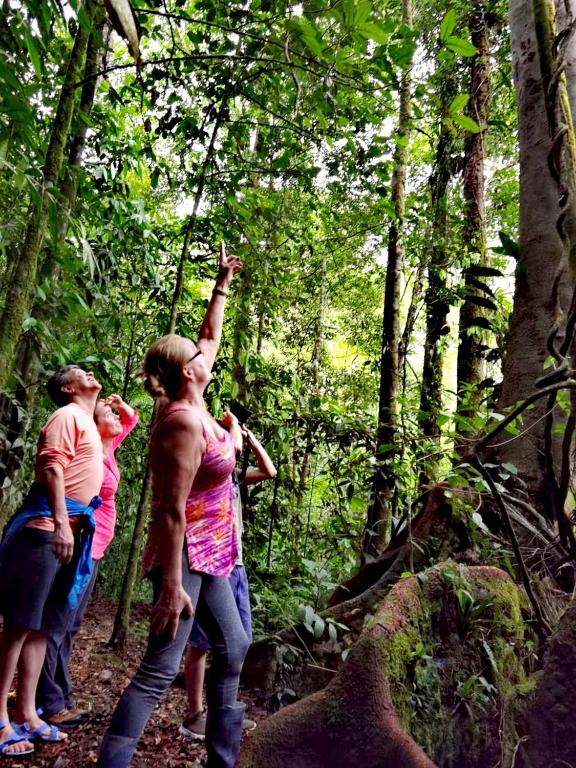 Cecropia Ecolodge — Hotel in Tilaran