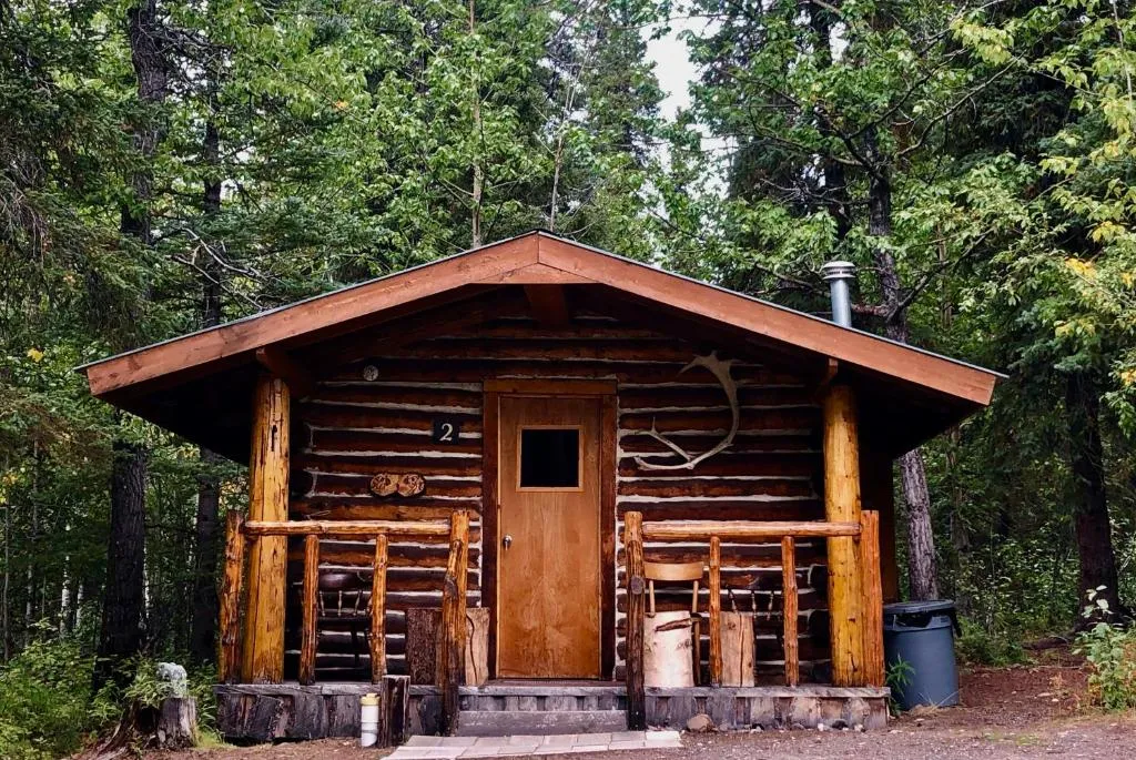 Carlo Creek Cabins，位于麦金利公园的酒店