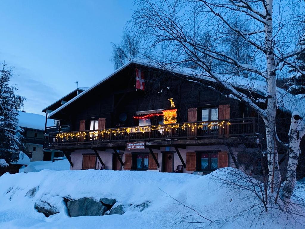 APPARTEMENT PLEIN SUD AUX SAISIES n3 - 5