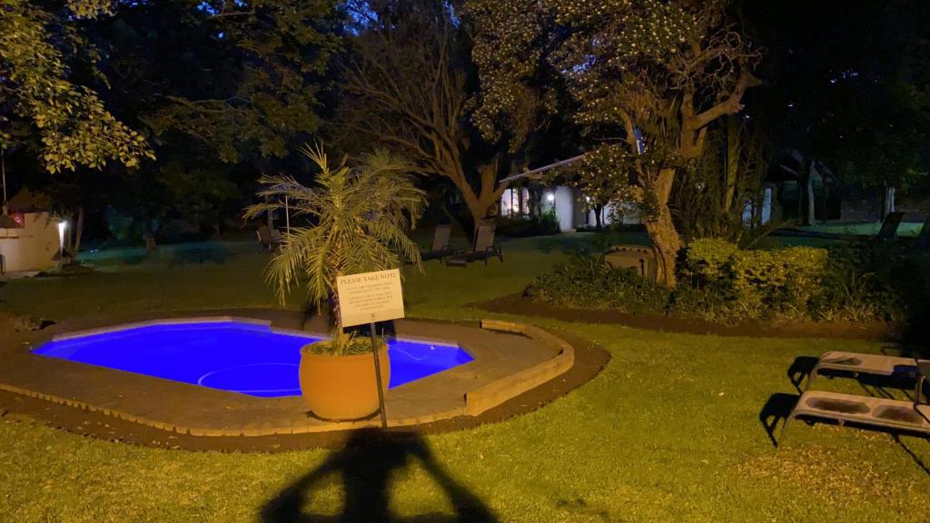 スイミングプール