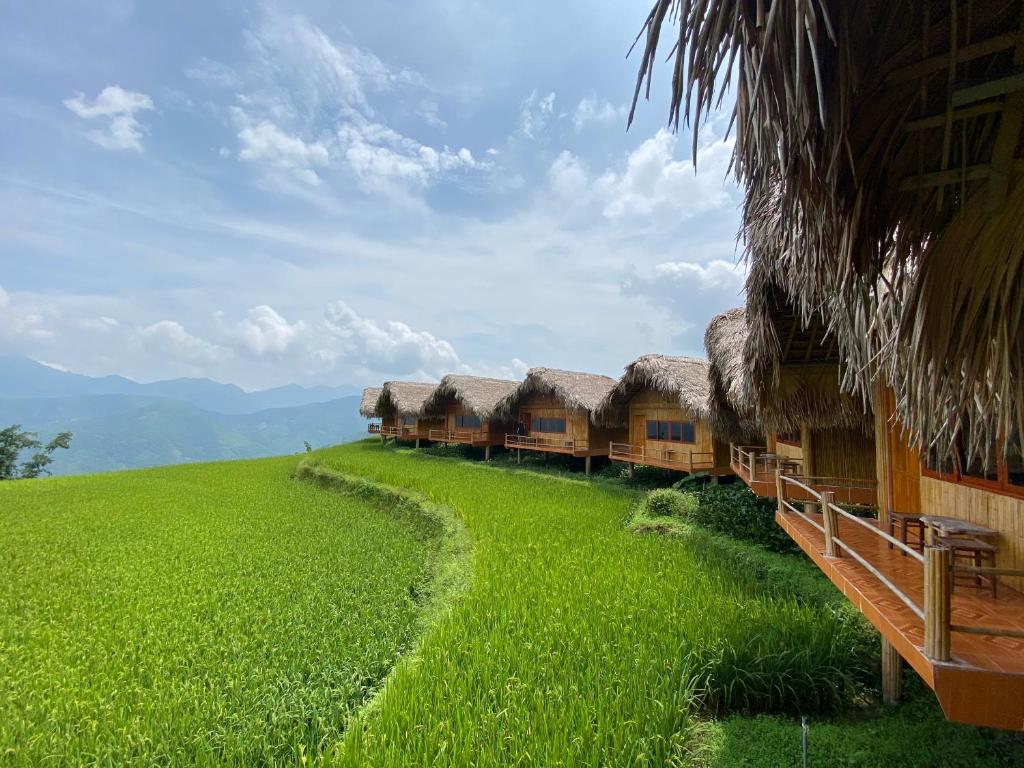 Hoàng Su Phì Lodge