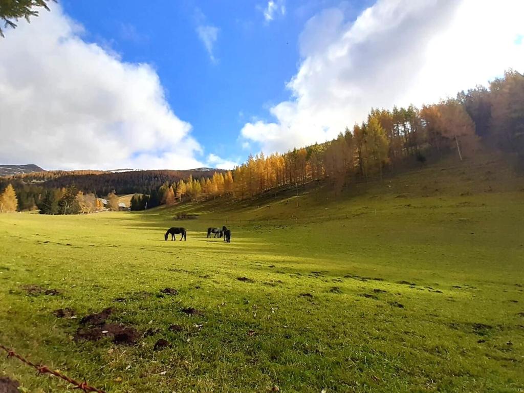 Surrounding environment