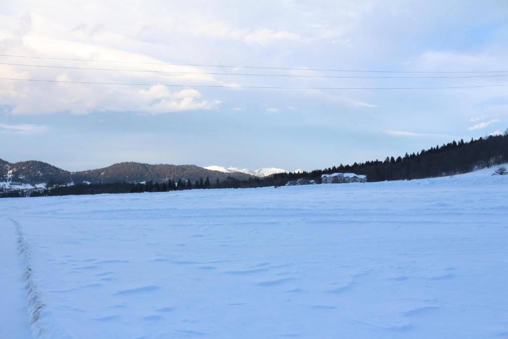 Apartment Crystal Resort in Bakuriani b406 photo