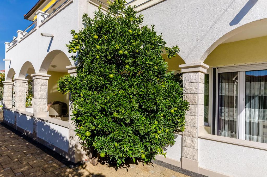 Apartments Palm tree, Trogir