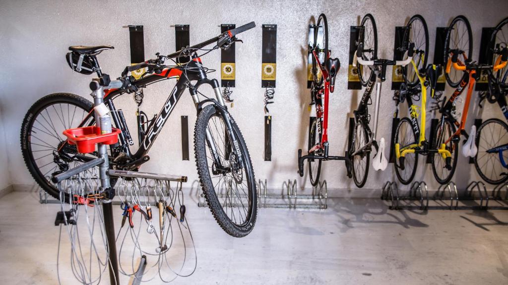 กีฬาและกิจกรรมสันทนาการ