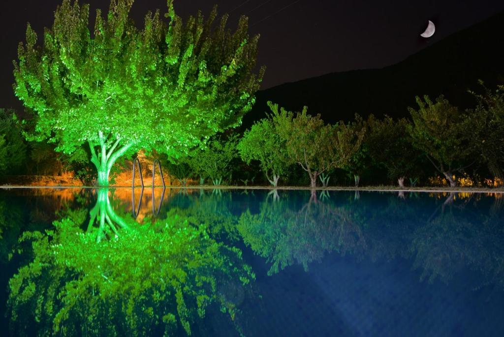 Pir Efes Konakları photo