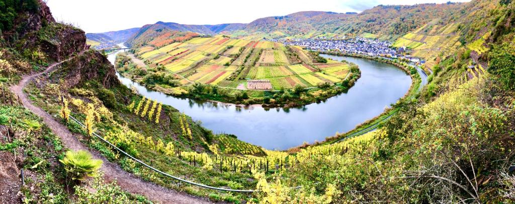 Haus am Ufer mit Rheinpanoramablick photo