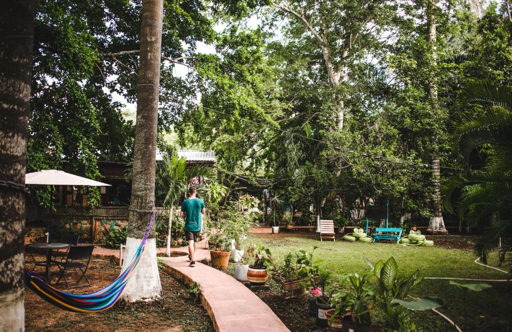 Garden, Yaxche Centro Hostal y Camping in Bacalar
