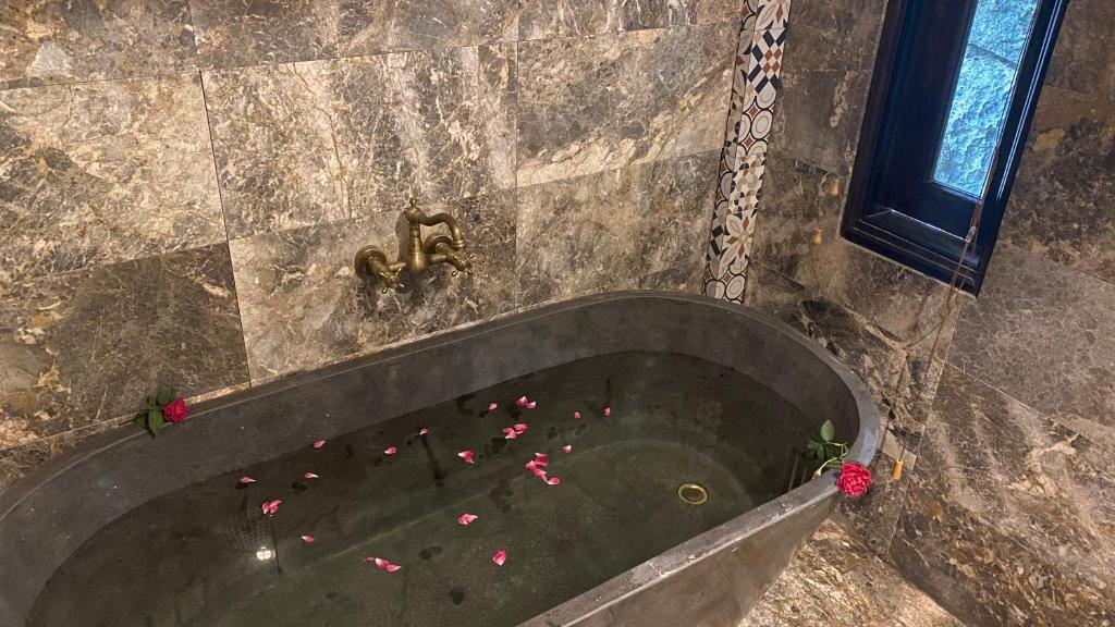 트랑 안 팜 스테이 게스트하우스 호텔 이미지 2