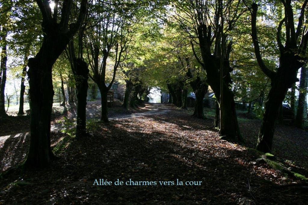 スポーツ/アクティビティ