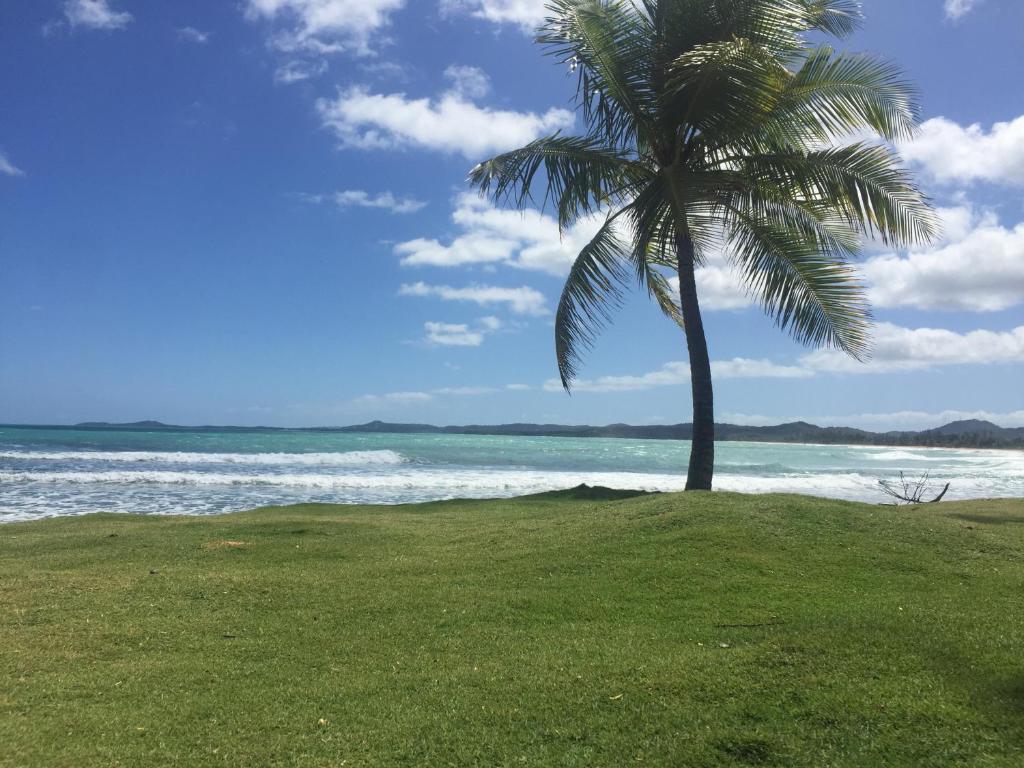 Blue Leaf by the Sea photo