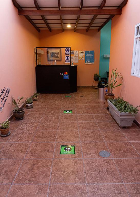 Wild Olive Guest House photo