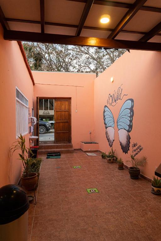 Wild Olive Guest House photo