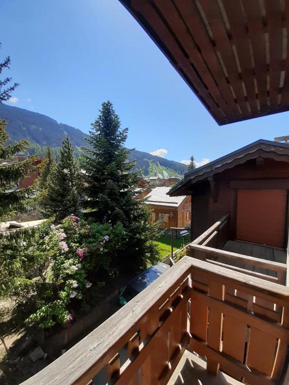Lodge Les Merisiers photo