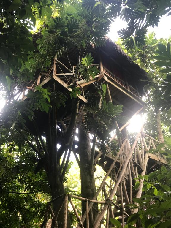 Dominican Tree House Village photo