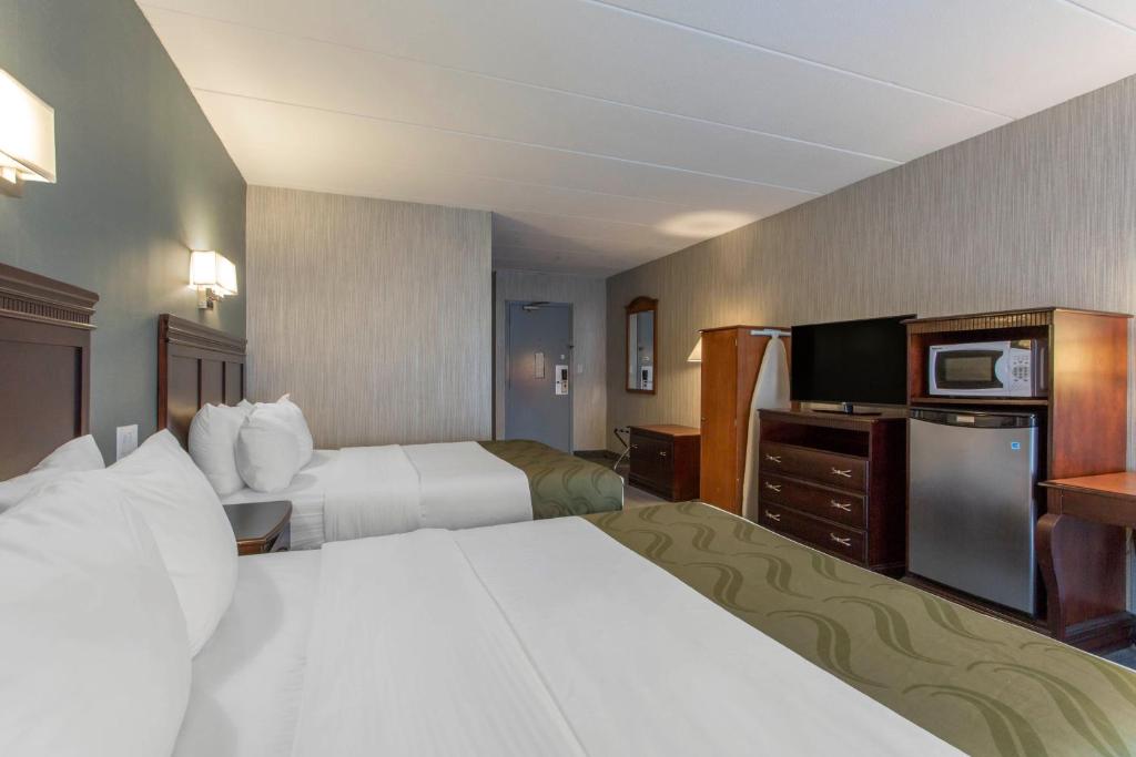 2. 퀄리티 인 (Q..