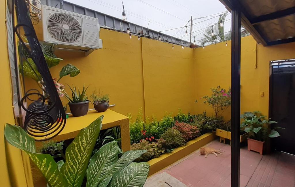 Cat House photo