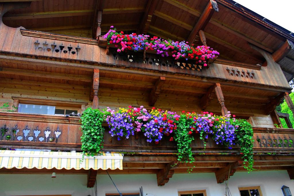 Farnreit - 2