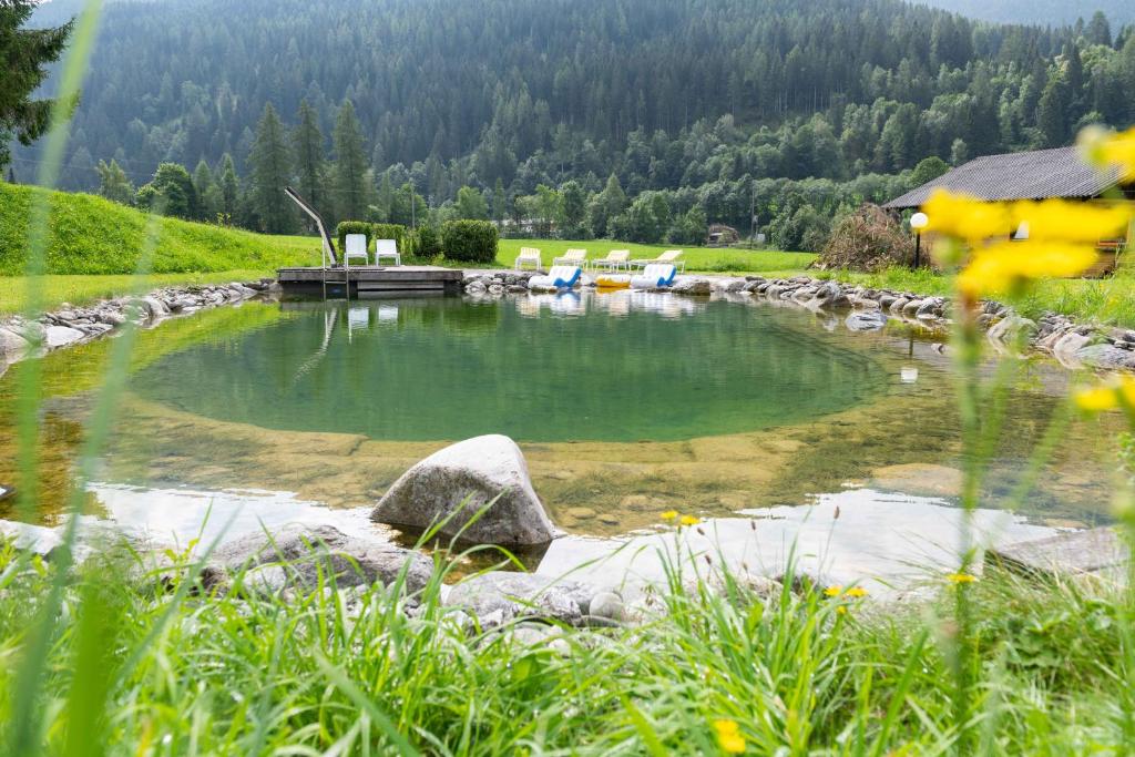 Guesthouse Dalnig 실내 수영장