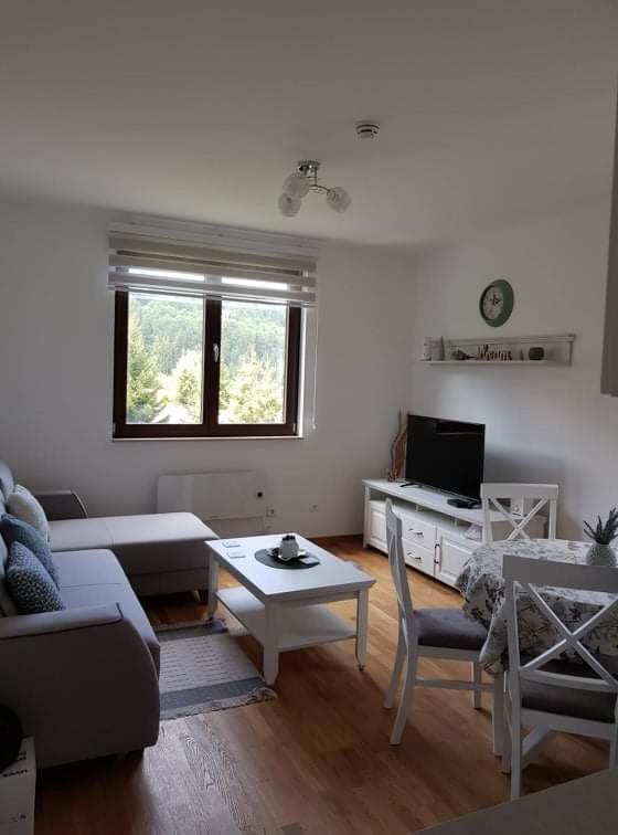 Vila Irina - Apartman Miloš - 4