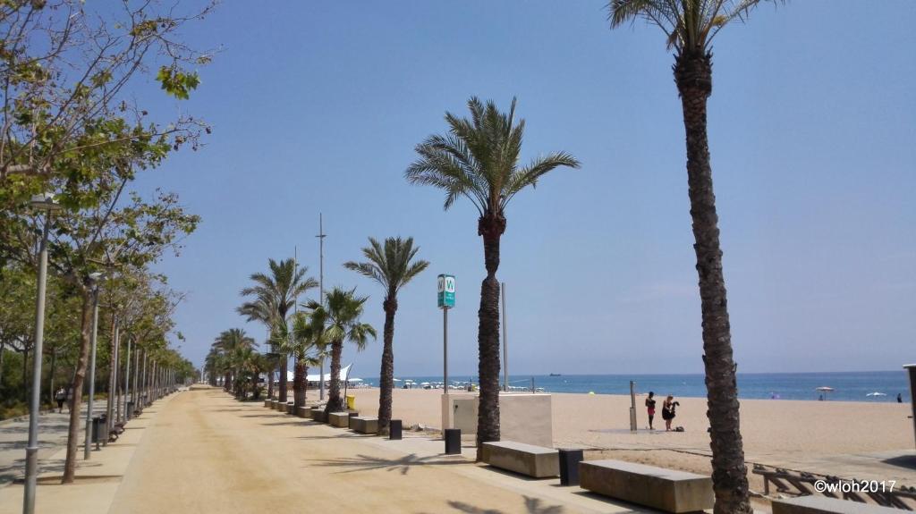 Hotel Oasis Park Splash — Beach in Calella, Catalonia