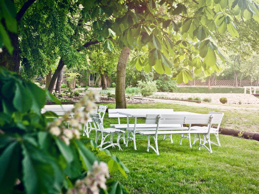 Dwór Niemierzyce Interior