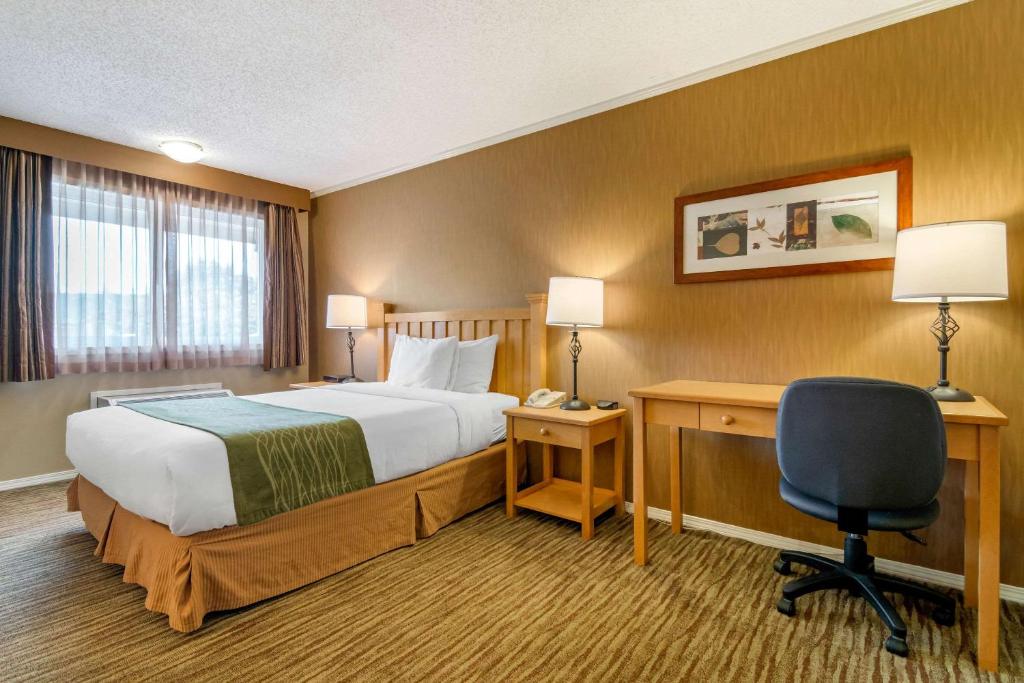 Comfort Inn & Suites Photo 9