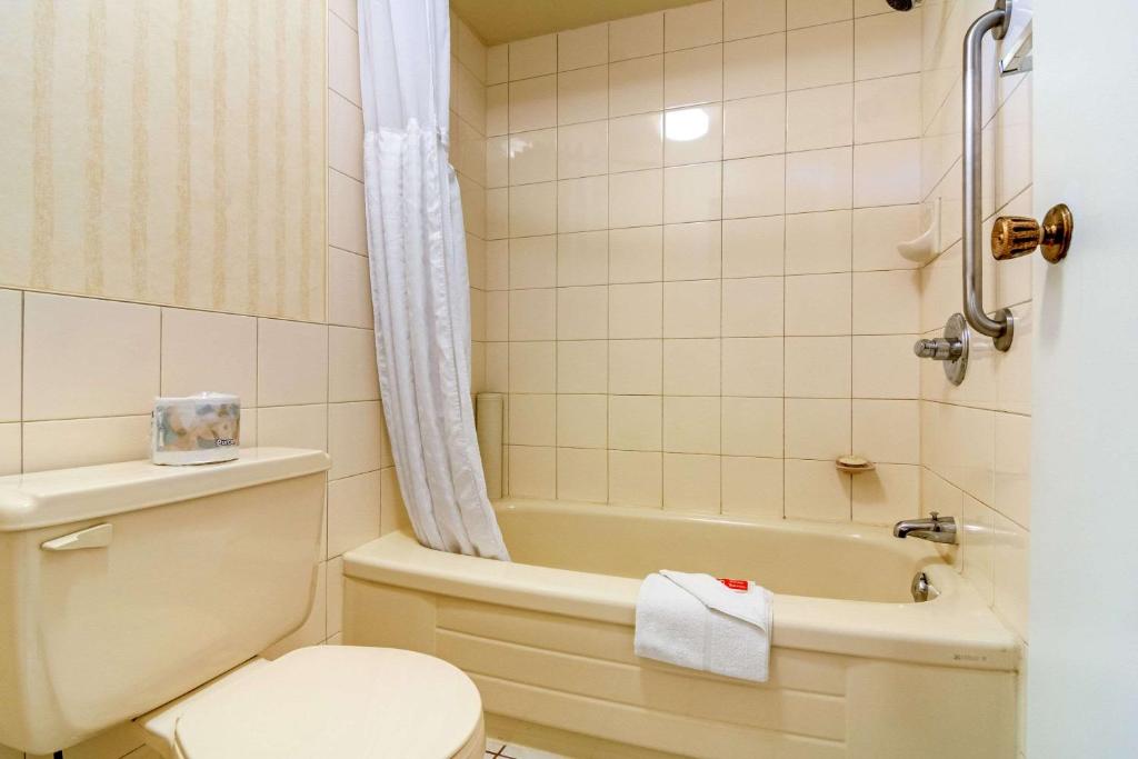 Comfort Inn & Suites Photo 10