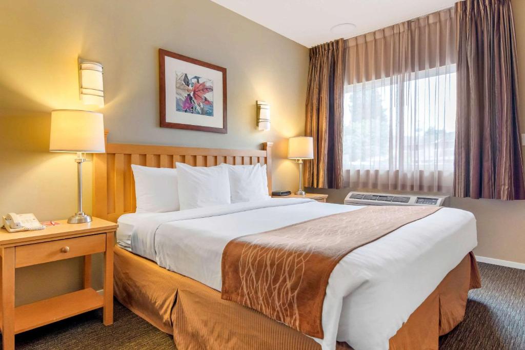 Comfort Inn & Suites Photo 16