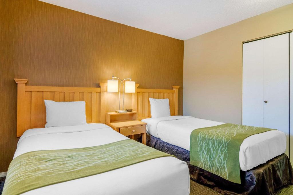 Comfort Inn & Suites Photo 37