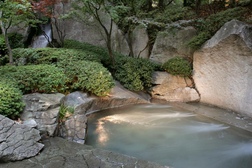 Hot spring bath