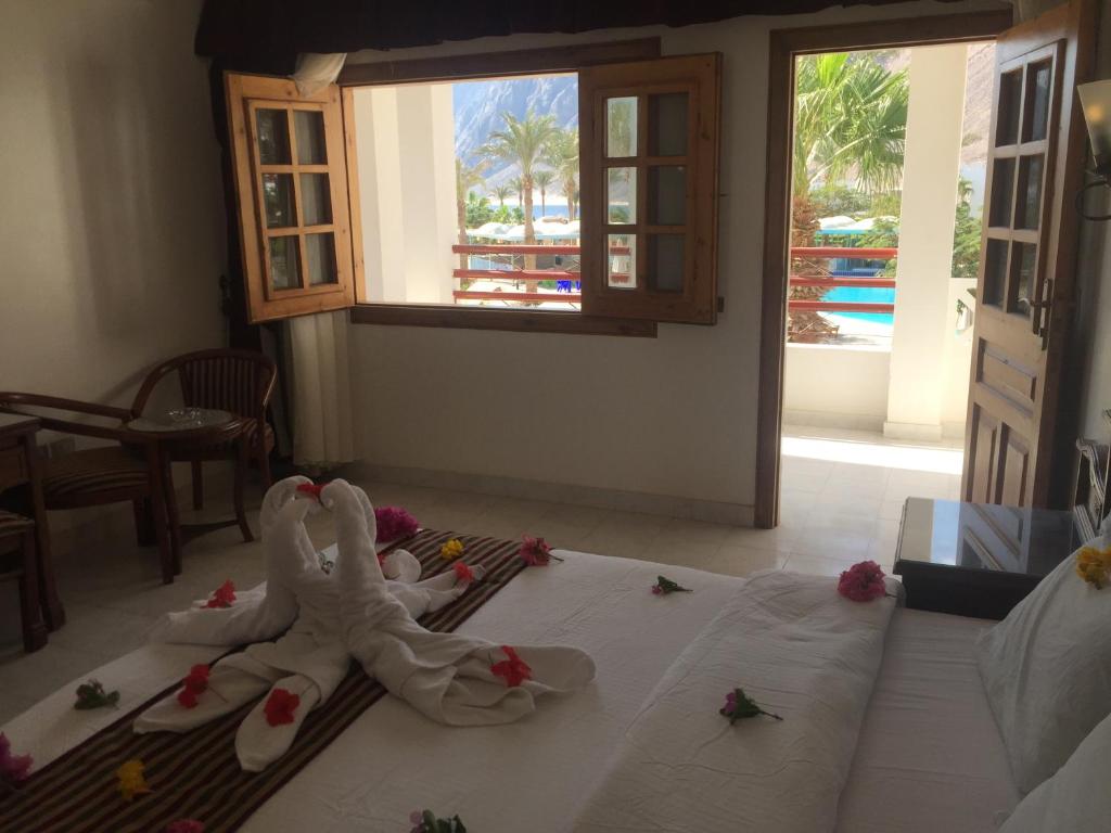 Happy Life Village Dahab — Hotel rooms in St. Catherine, South Sinai