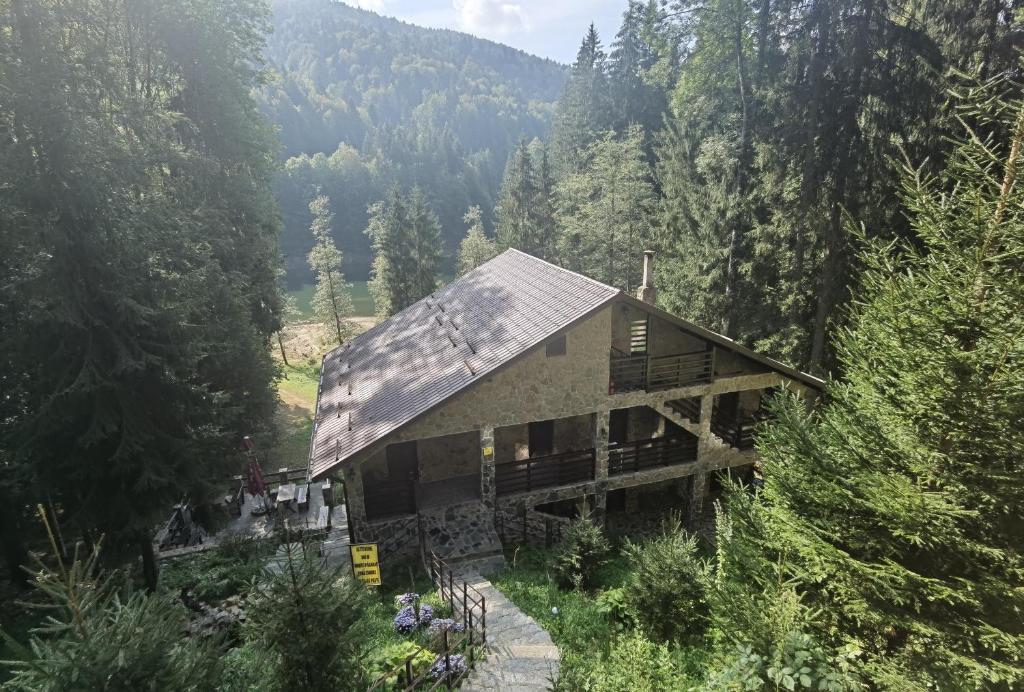 Cabana Zimbru Transfagarasan — Hotel in Arefu