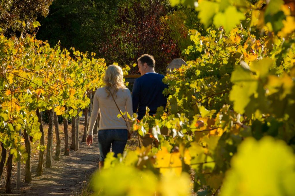 Discovery Parks - Clare, Clare