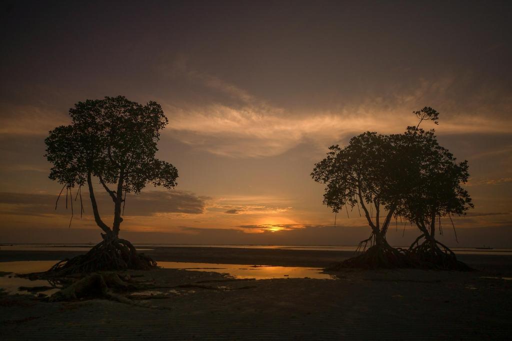 Beautiful natural surroundings