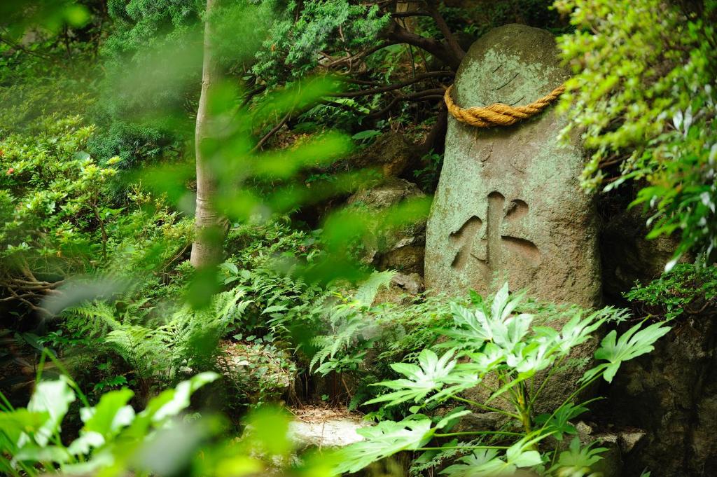 Surrounding environment