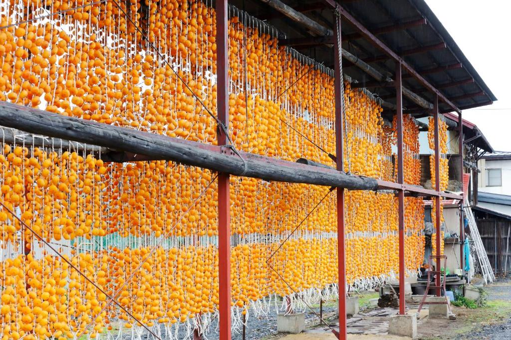 Surrounding environment