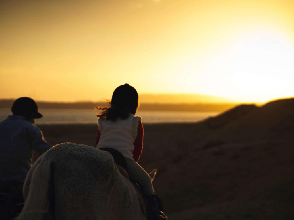 Mövenpick Resort Sharm El Sheikh Photo 47