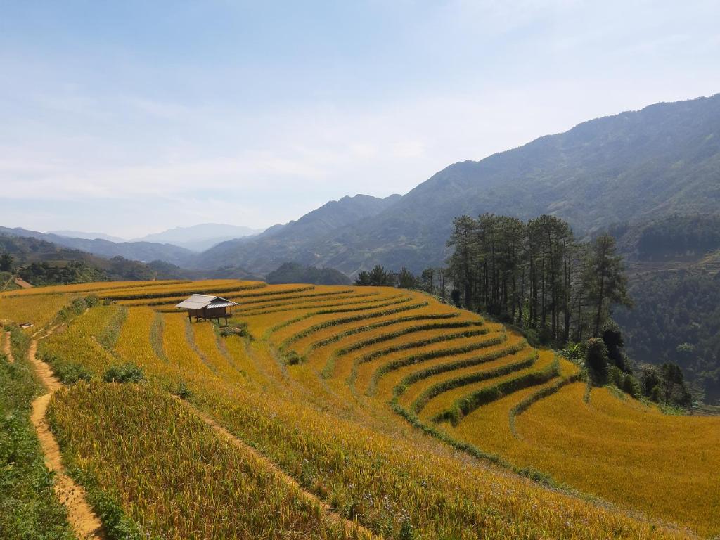 Indigenous homestay- Trek- Food- Bus 호텔 이미지 2