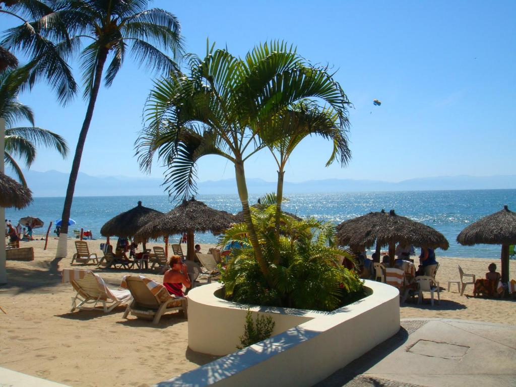 Suites Costa Dorada photo
