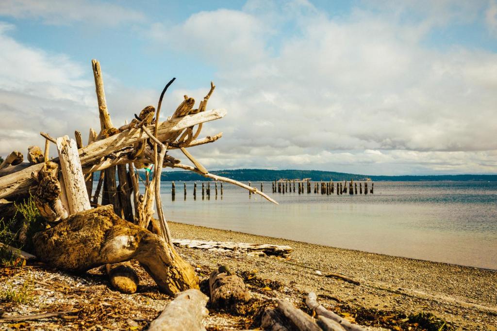 Whidbey Island Modern Farmhouse photo