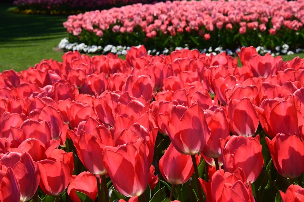 Nearby attraction