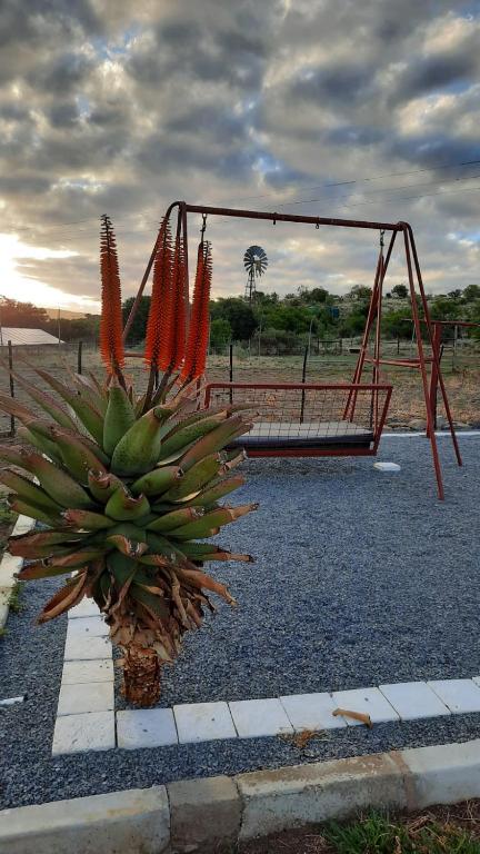 Surrounding environment