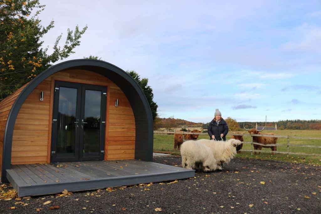 Glampods Glamping Pod - meet Highland Cows and Sheep Elgin, Elgin