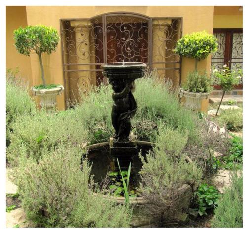 The Lemon Tree Self- Catering photo