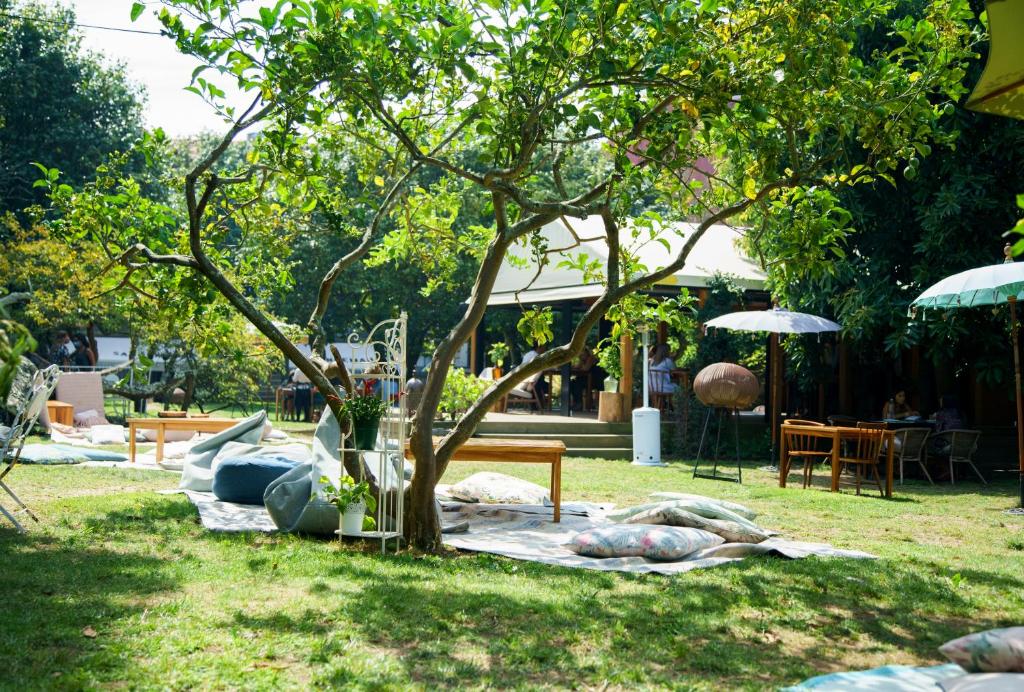 Garden